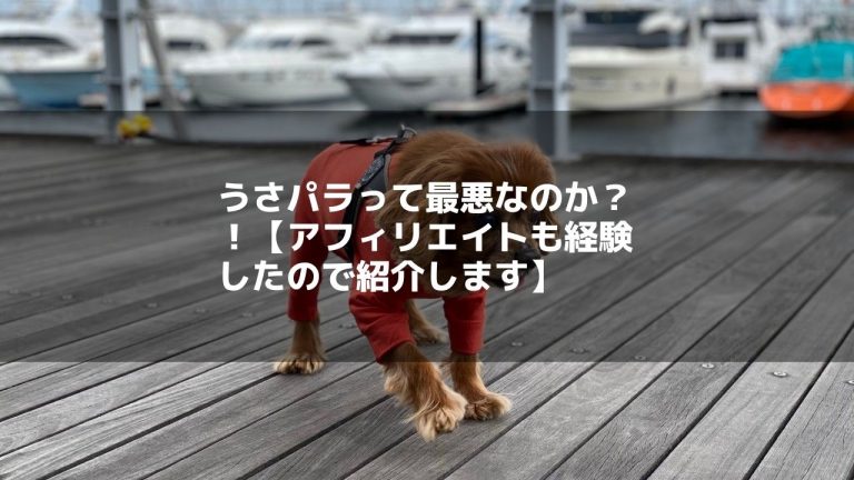 うさパラって最悪なのか!?【アフィリエイトも経験したので紹介します】