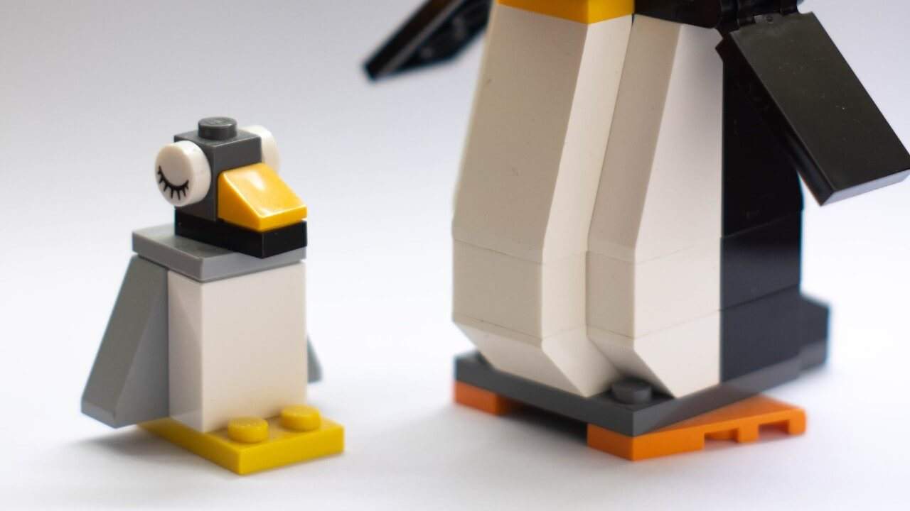 ファーストペンギンの使い方【ブログで稼ぐためには勇気も必要って話】